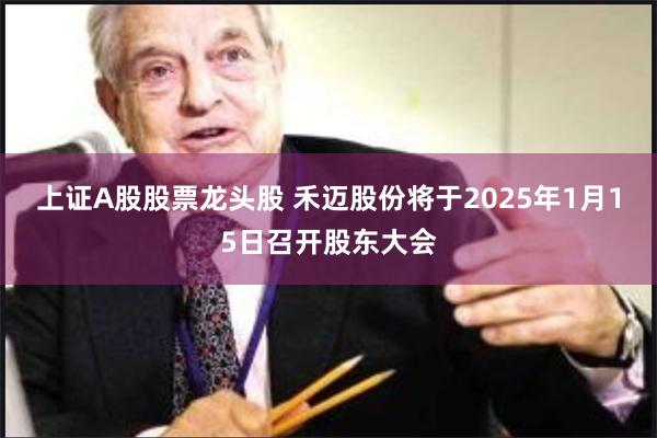 上证A股股票龙头股 禾迈股份将于2025年1月15日召开股东