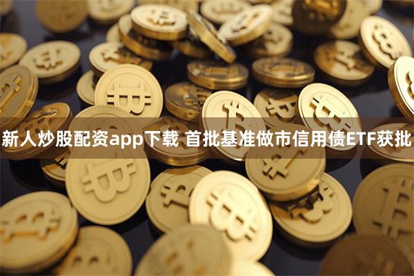 新人炒股配资app下载 首批基准做市信用债ETF获批