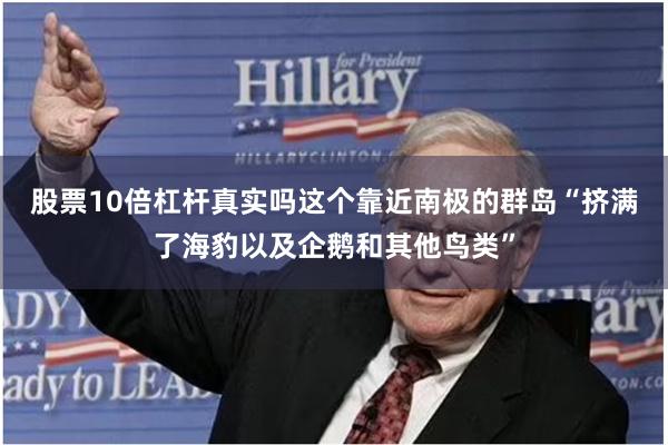 股票10倍杠杆真实吗这个靠近南极的群岛“挤满了海豹以及企鹅和