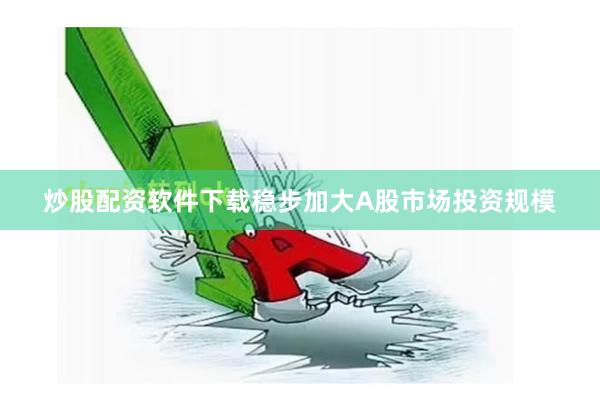 炒股配资软件下载稳步加大A股市场投资规模