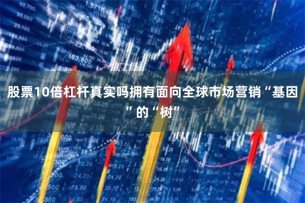 股票10倍杠杆真实吗拥有面向全球市场营销“基因”的“树” 股票10倍杠杆真实吗拥有面向全球市场营销“基因”的“树”