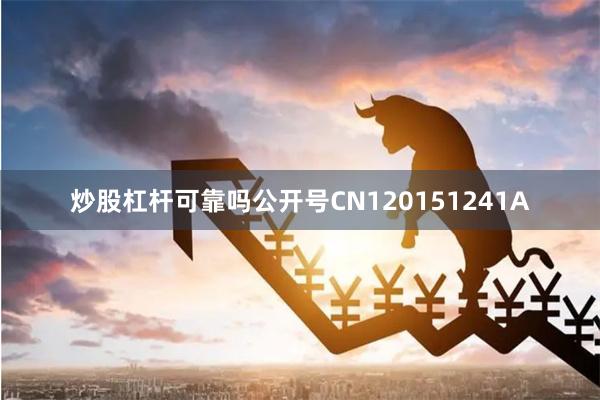 炒股杠杆可靠吗公开号CN120151241A