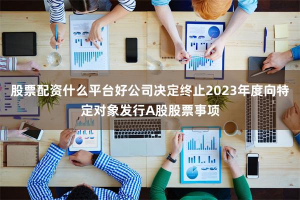 股票配资什么平台好公司决定终止2023年度向特定对象发行A股