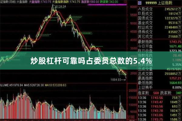 炒股杠杆可靠吗占委员总数的5.4%